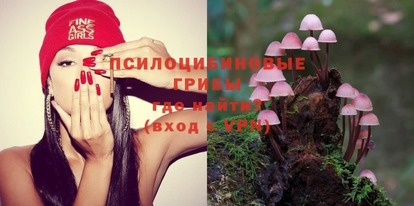 бошки Волоколамск