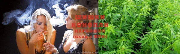 сатива Володарск
