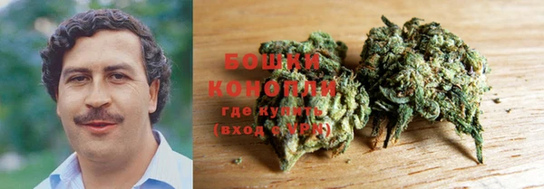 сатива Володарск