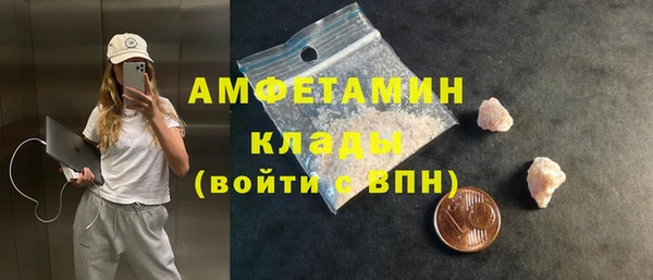 сатива Володарск
