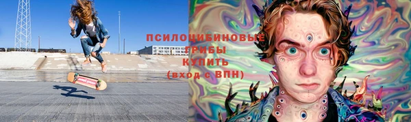 сатива Володарск