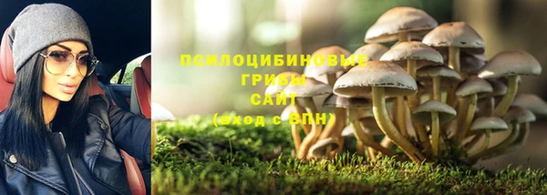 бошки Волоколамск